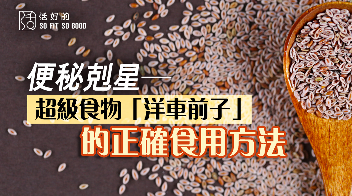 鹽車前子500克江西產永剛品牌藥房飲片整袋裝中藥