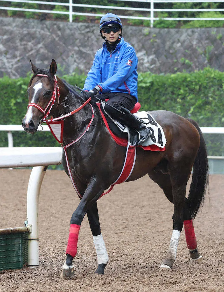 アイビスSDで最内枠から3着 バカラクイーンの記憶に残る内ラチ沿い netkeiba ｄメニューニュース NTTドコモ