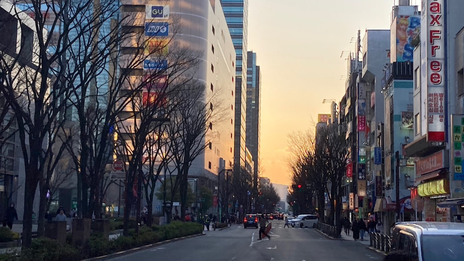 錦糸町ダービー通りの怪 | （新）三輪桜の旅日記