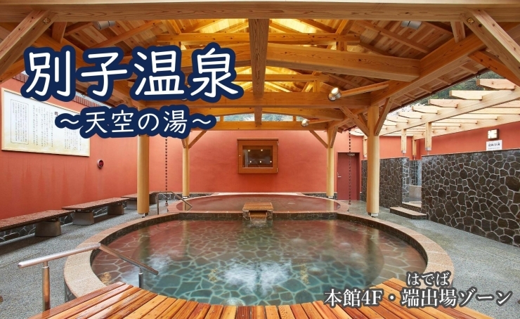 マイントピア別子 ホームメイト