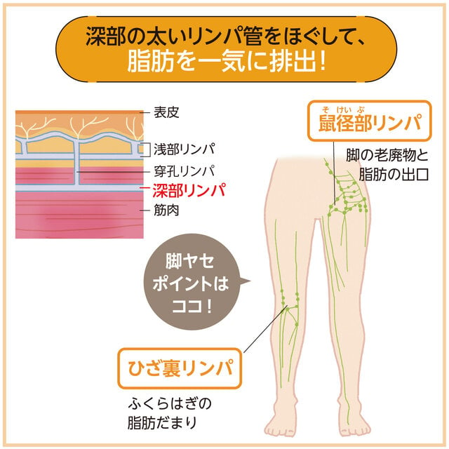 リンパマッサージのゴリゴリの正体とは？ゴリゴリの解消方法も紹介