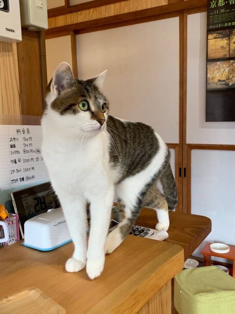 🗓️福を呼ぶ那須の長楽寺カレンダー2026 2025年9月4日 朝7時～ 販売開始✨ 毎月違った写真、デザインで楽しめます！便利な卓上タイプです☺️ とっても可愛くできました😻 1月のデザインだけお見せしますね👀💕 1500円 税込ホームページ内のオンラインショップ