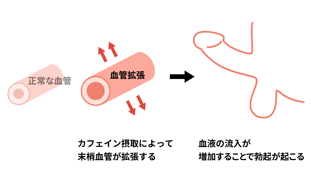 赤まむしドリンクの効果・成分・口コミを紹介！精力増強・疲労回復に効果アリ | ザヘルプM