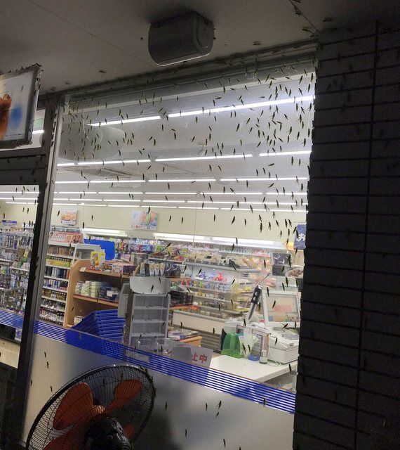 FreeFly 充電式クリップ扇風機 E302の口コミ・評判は？実際に使ってよい点・気になる点を徹底レビュー！マイベスト