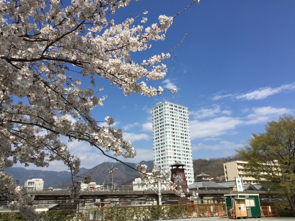 ホームズ】ウイング甲府中央(甲府市)の賃貸・中古情報