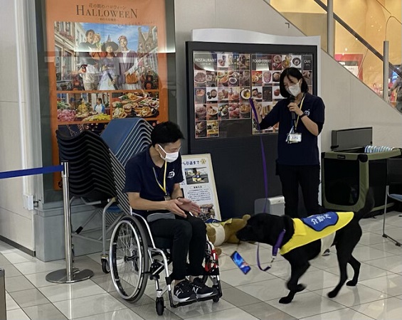 松江】紅茶にも合うだと!? 彩雲堂の新商品「よもぎ若草」を試食してきた（はまちゃん） -