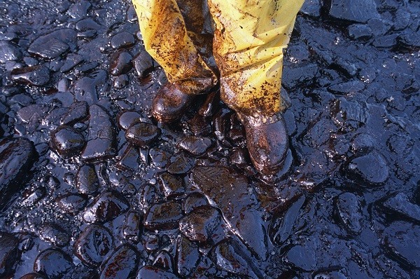 記事 ラッコと原油流出：エクソン・バルディーズ号原油流出事故から25年The Exxon Valdez Oil Spill: 25 YearsAgo Today - らっこちゃんねるSea Otter Channel - ラッコ情報・記事・動画・写真をご紹介