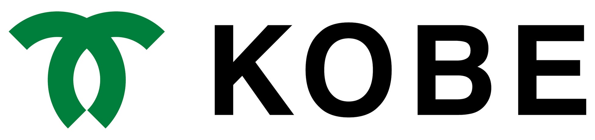 神戸市：神戸のランドマーク「山麓電飾」