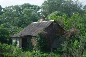 村八分の恐怖 良し悪しではなく事実として述べますと、地方の田舎では、関東圏から来た人はもはや例外なくこれ見た