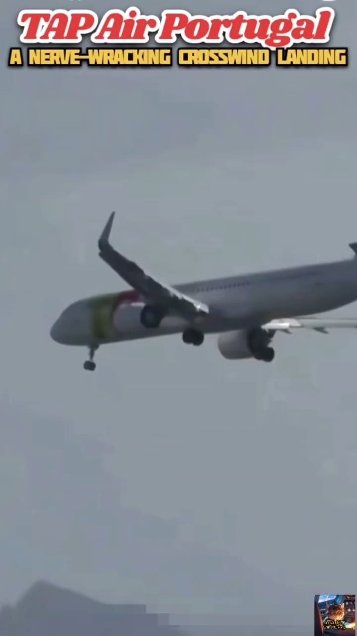 羽田空港へ着陸態勢、都内上空を飛ぶ飛行機アルファーアビエィション