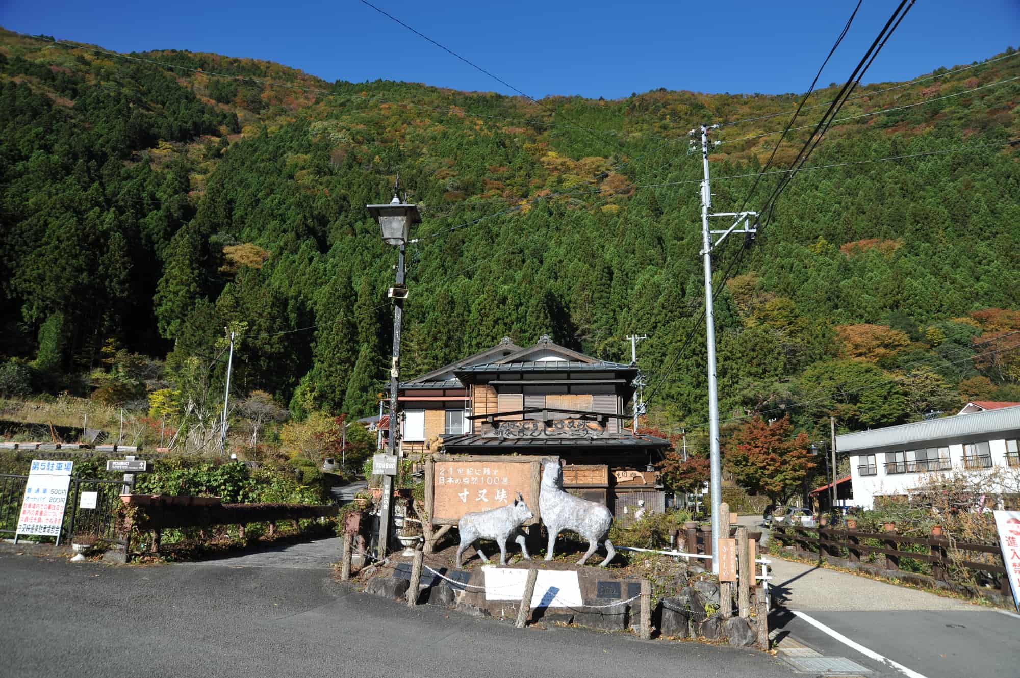 180+ Desfiladeiro Sumata Fotos fotos de stock, imagens e fotos royalty-free- iStock