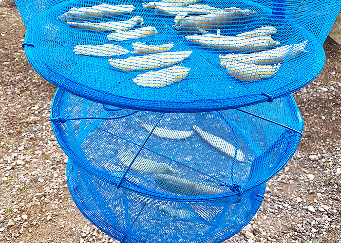 ダイソーの野菜干しネットが超使える！ おいしく節約へそくり塾