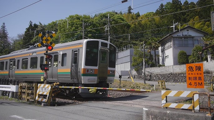 成田線我孫子支線 二本榎踏切 湖北～東我孫子間わさびくま日記 - 楽天ブログ