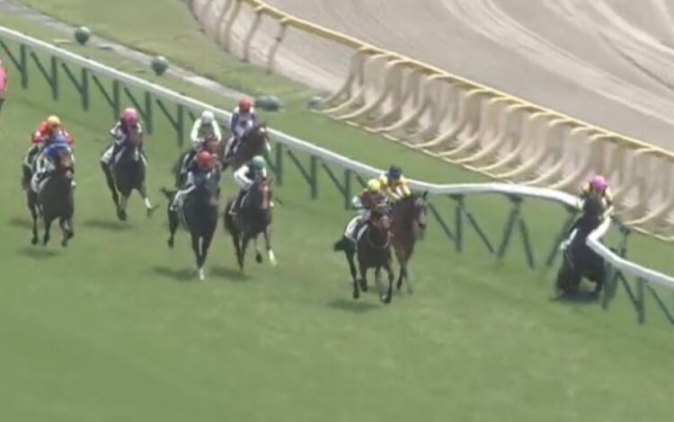 内ラチとは？競馬で重要な役割を果たす内側の柵を解説 外ラチとの違いも紹介