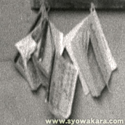 地獄の初年兵体験記 - 諫早市