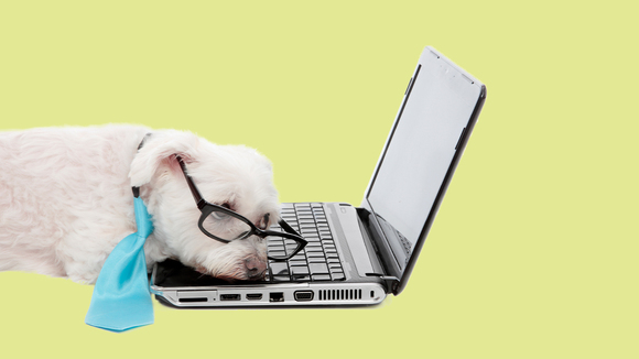 例文付き やんわりと伝えるビジネス催促・督促メールの書き方を解説メール共有・問い合わせ管理システムyaritori ヤリトリ