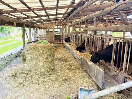 農業イラスト 挿絵 無料イラスト