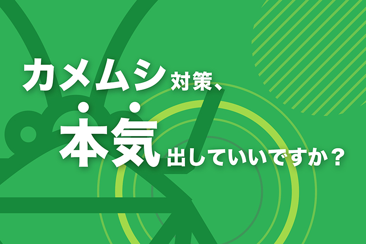 12個セットペティオ 素材そのまま 無添加 馬肉チップス 70g 送料無料素材系おやつ