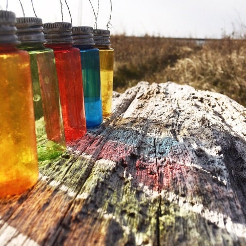 ダイソーの保存容器で梅酒を作ろうとしたら・テディの楽しみ♪