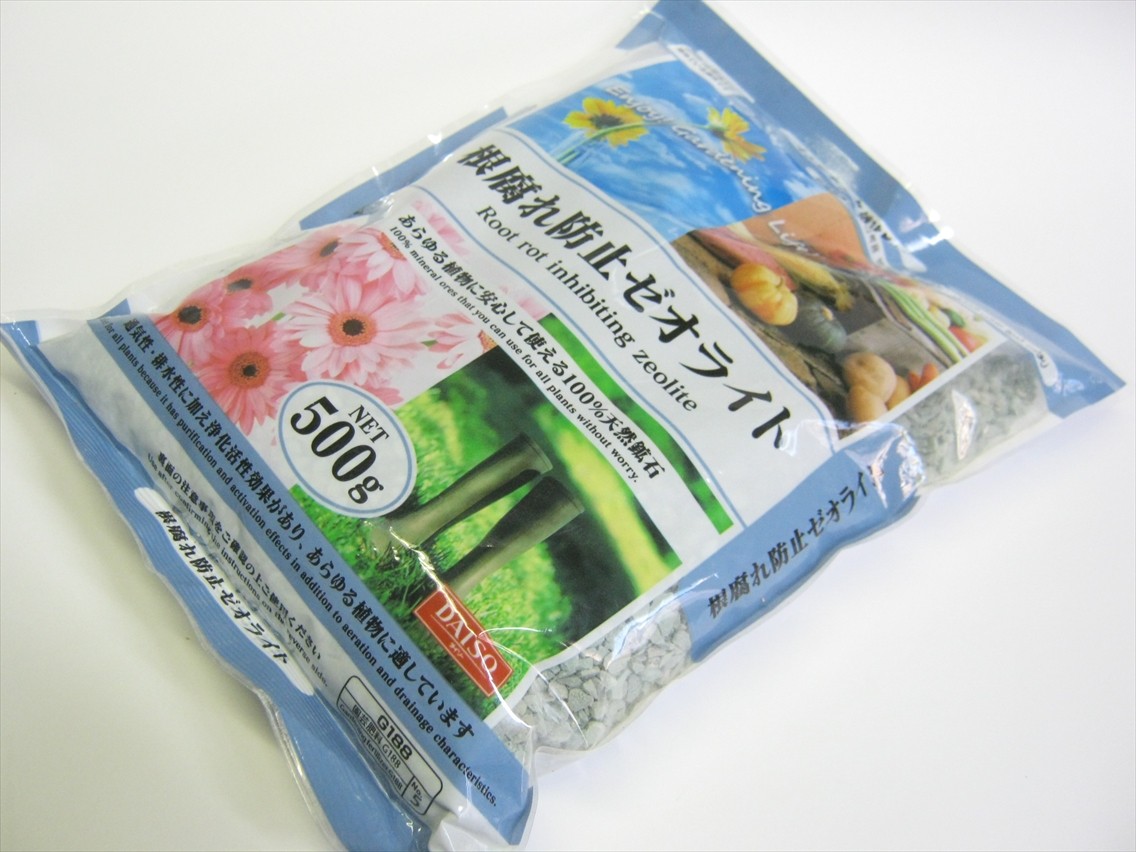 ダイソーで観葉植物がそろう！初心者にぴったりな種類・育て方を解説100均アイテムで、暮らしをもっと便利に楽しむ情報メディア くらしマグネット