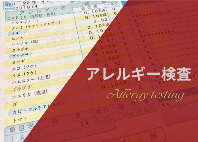 加古川市 新しい耳鼻科が明日1 21 月 開業します！号外NET 加古川市・高砂市
