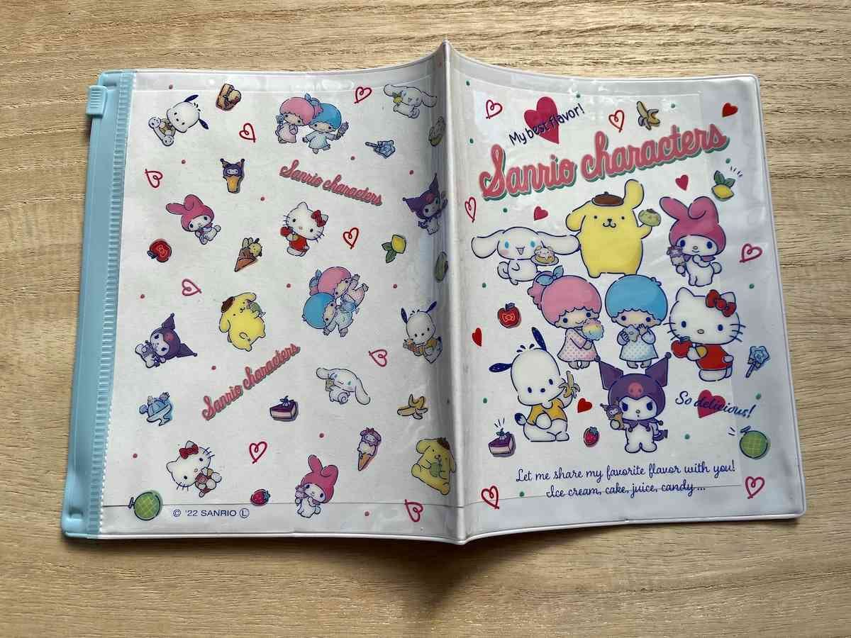 ダイソーで作る診察券＆お薬手帳収納法💊