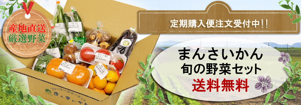静岡県の緑茶・農業・観光を 体験できるフードパーク「KADODE OOIGAWA」AXIS Webデザインの視点で、人間の可能性や創造性を伝えるメディア