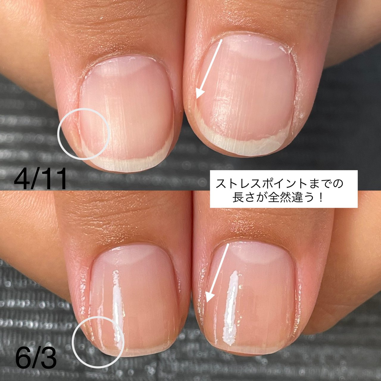 ネイルデザイナー資格試験概要諒 りょう 設計アーキテクトラーニング