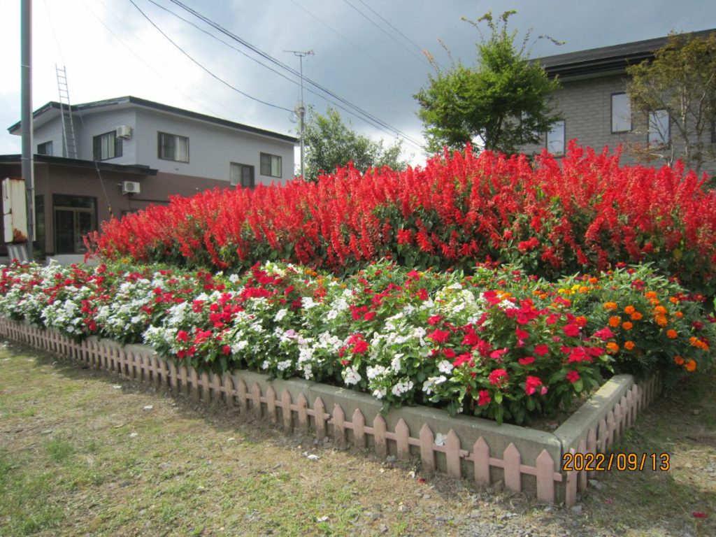 秋田県花いっぱい運動の会事務局 | 秋田県花いっぱい運動の会