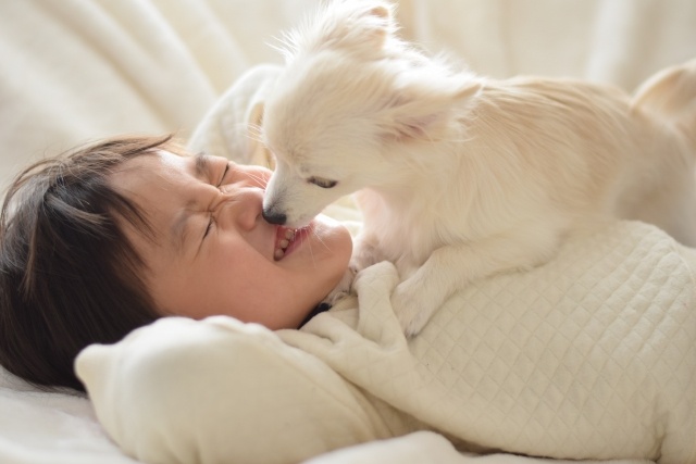 犬が飼い主さんの上に乗る心理とは 乗る場所ごとに気持ちを読み解く｜いぬのきもちWEB MAGAZINE