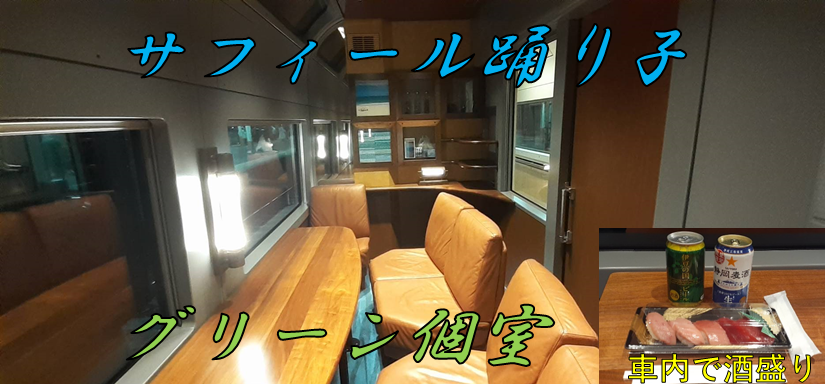 子連れでサフィール踊り子 予約から降車まで賢いプランをご紹介！もふたろ子連れ旅行ブログ