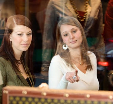 ウィンドウショッピングうぃんどうしょっぴんぐ とは ピクシブ百科事典