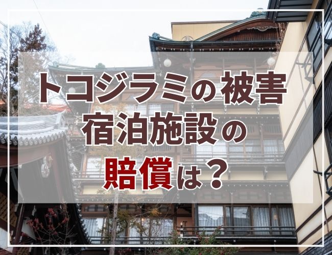 韓国各地に広がる「トコジラミの恐怖」 ソウルの区も半分以上で発見韓国の社会・文化ニュース韓国旅行「コネスト」