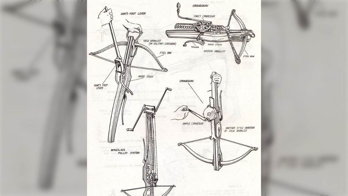 クロスボウを所持するには？│ふたば洋弓組合