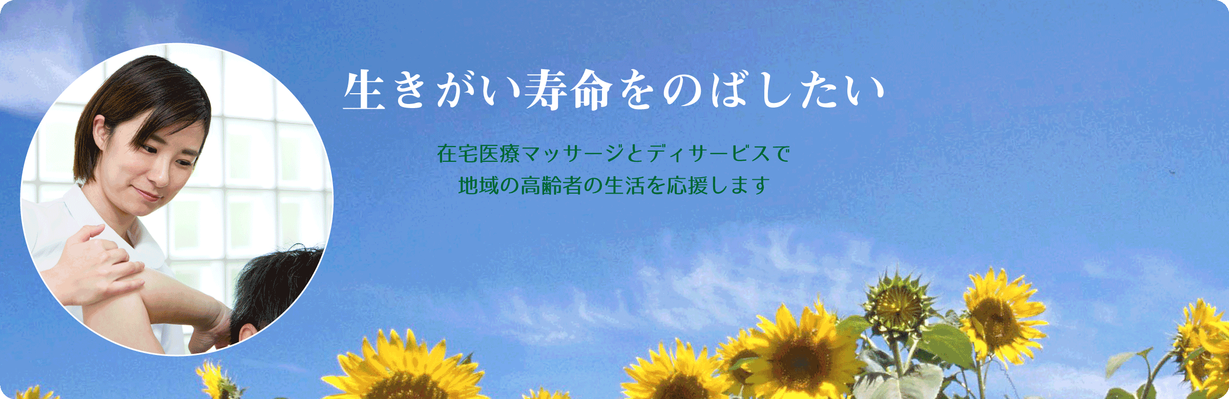 期限切れ】 SALVIA オーガニック天然ひまわり油 無添加の多目的オイル