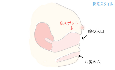 立ちバックセックスのコツは？動画や画像で体位の動き方や本当に気持ちいいやり方を解説