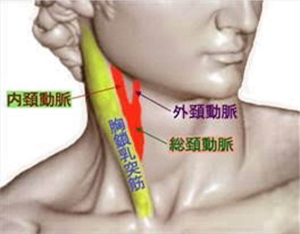 首のシワは若いのになぜできる？なくす方法は？【医師解説】改善のためストレッチ＆シワクリーム紹介 - Beauty produced by