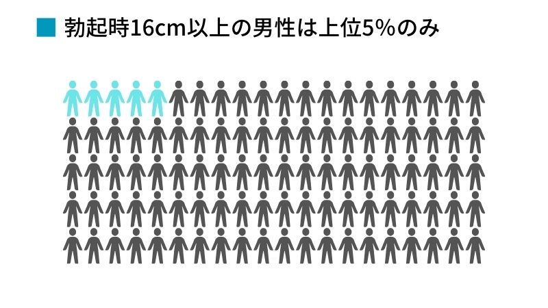 女性が喜ぶカリ高ペニスとは何cm？メリット・作り方を徹底解説 | ザヘルプM