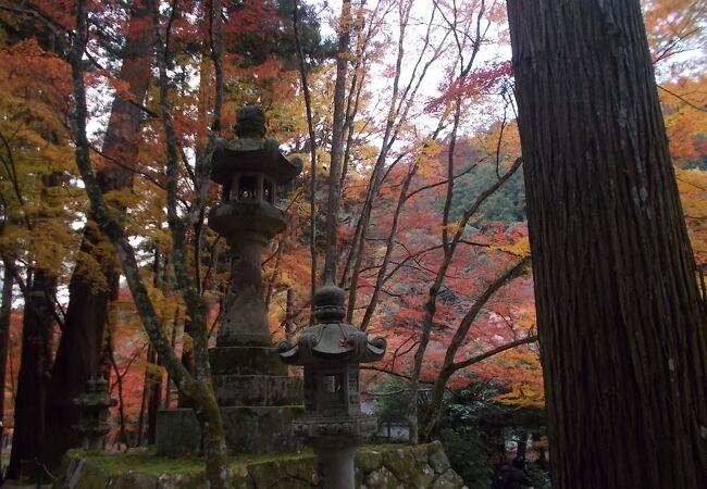 佛通寺 崑崗池 雪舟作と伝わる池泉庭園 -庭園ガイド