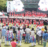 豊川市民まつり おいでん祭 |