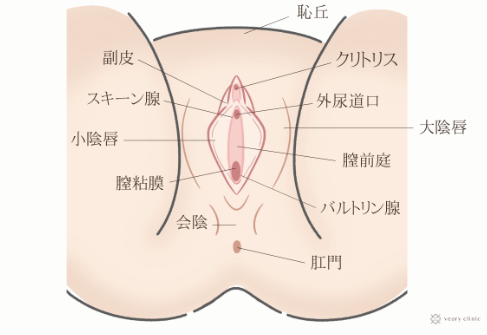 女性に潮吹きさせる為の3つの手マン方法と条件【図解・動画】 | セクテクサイト