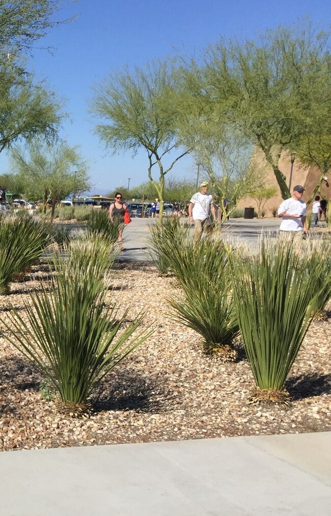 フェニックス：壮大なキャメルバック山ガイド付きハイキングAscend Peak!GetYourGuide