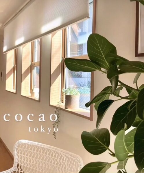 cocao tokyo 白金高輪店