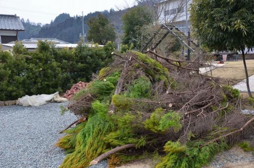 冒険を便利に進めよう！「プレミアムゴールド」登場！2024 7 4目覚めし冒険者の広場