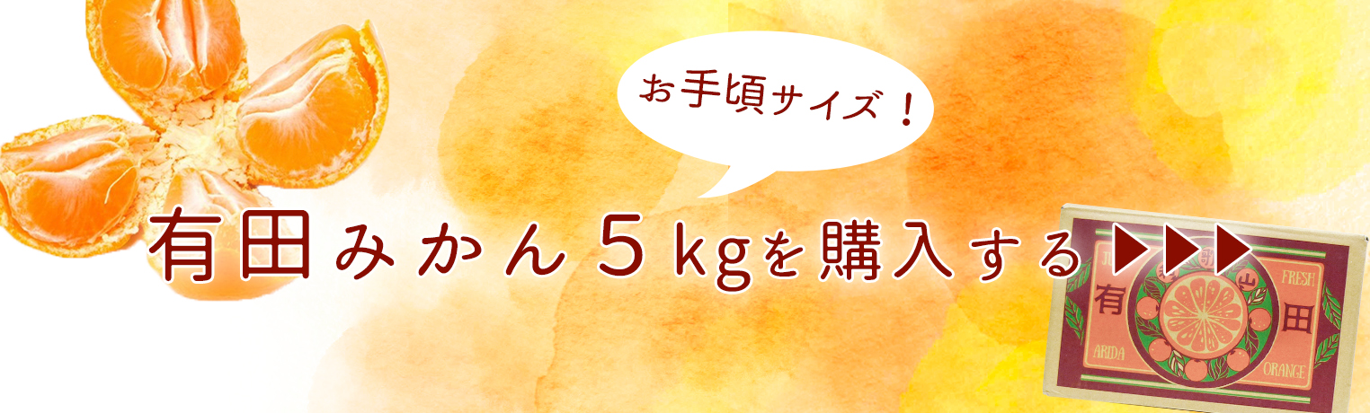 和歌山県 有田みかん🍊 AQとは『有田クオリティ』の略称だそうです！ 有田地域では、なんと450年も前からみかんの栽培をしているんだとか😳光センサーで厳正に選別された高品質で美味しい温州みかん。品種を変えて入荷が続きます。 ぜひご賞味ください✨toyosumarket