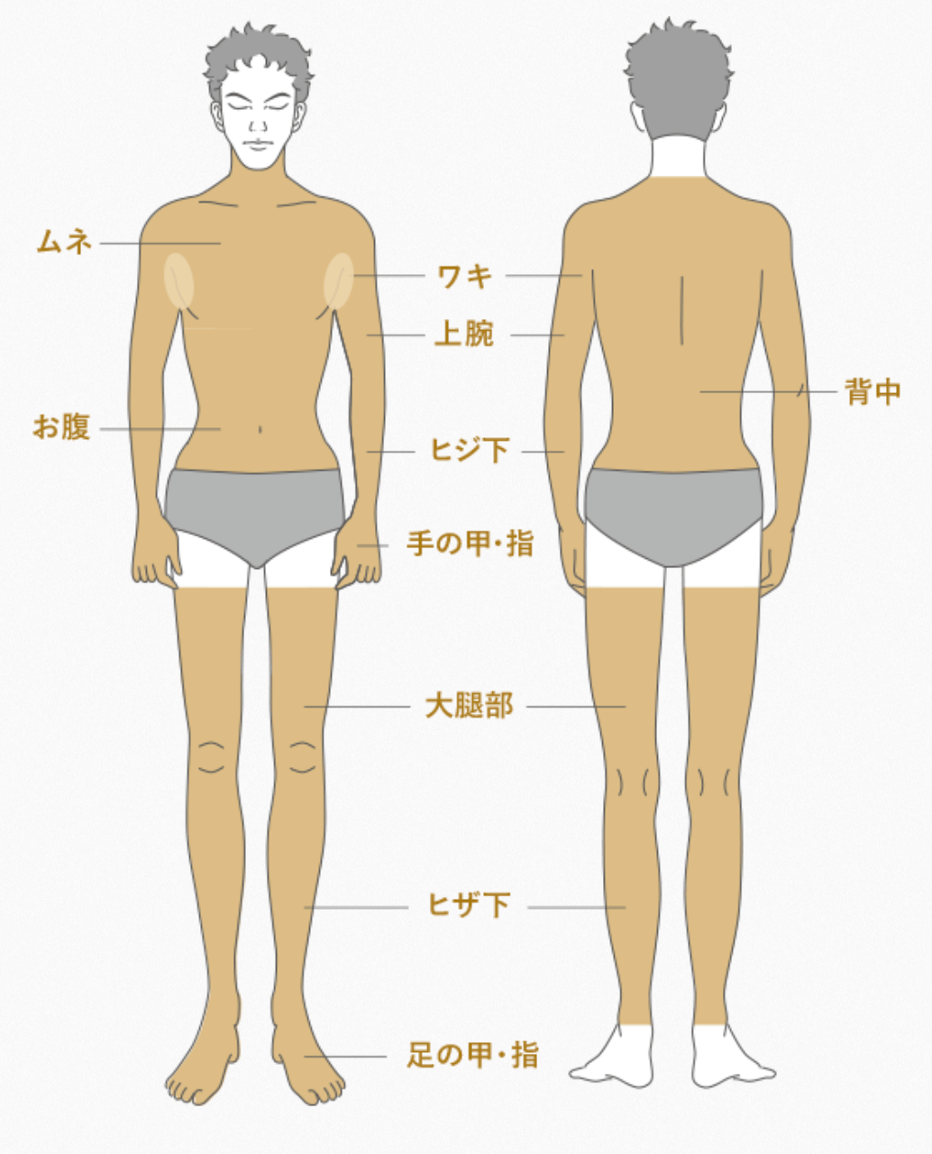 メンズTBCのヒゲ脱毛体験レポート｜実際の痛みや効果＆料金を公開 - カスタムライフmedical