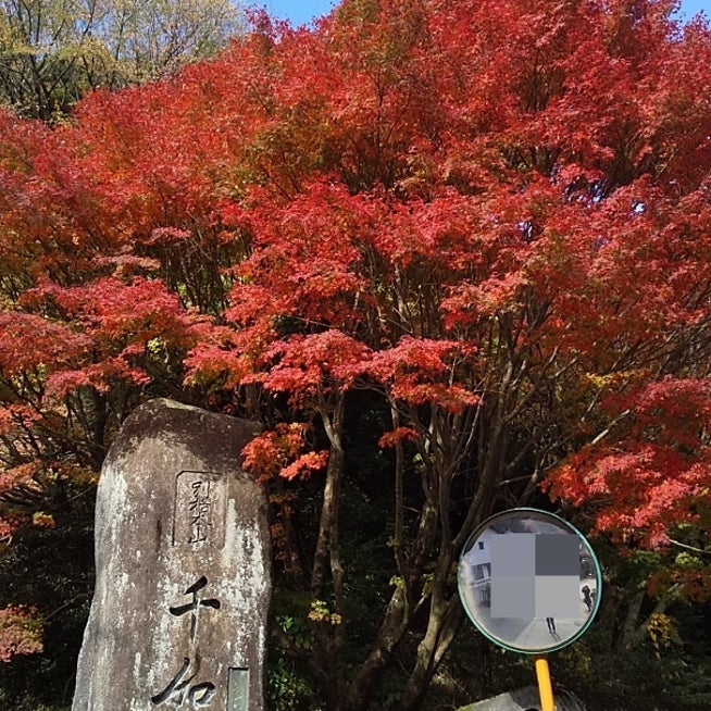千如寺大悲王院 授与品 - 糸島市 福岡県Omairi おまいり