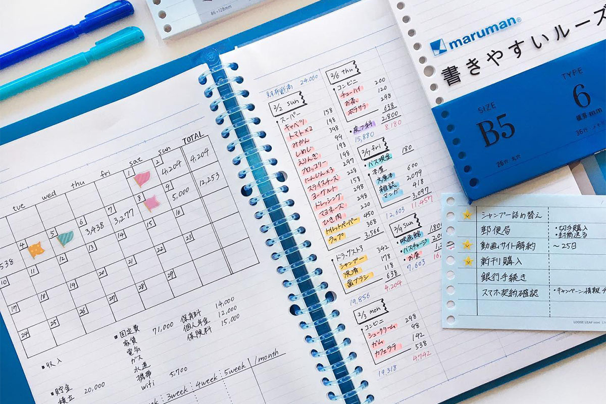 無料テンプレートで iPad 手書き家計簿をはじめよう💰「手書き家計簿」「家計簿アプリ」始めるならどっち？こりすのーと