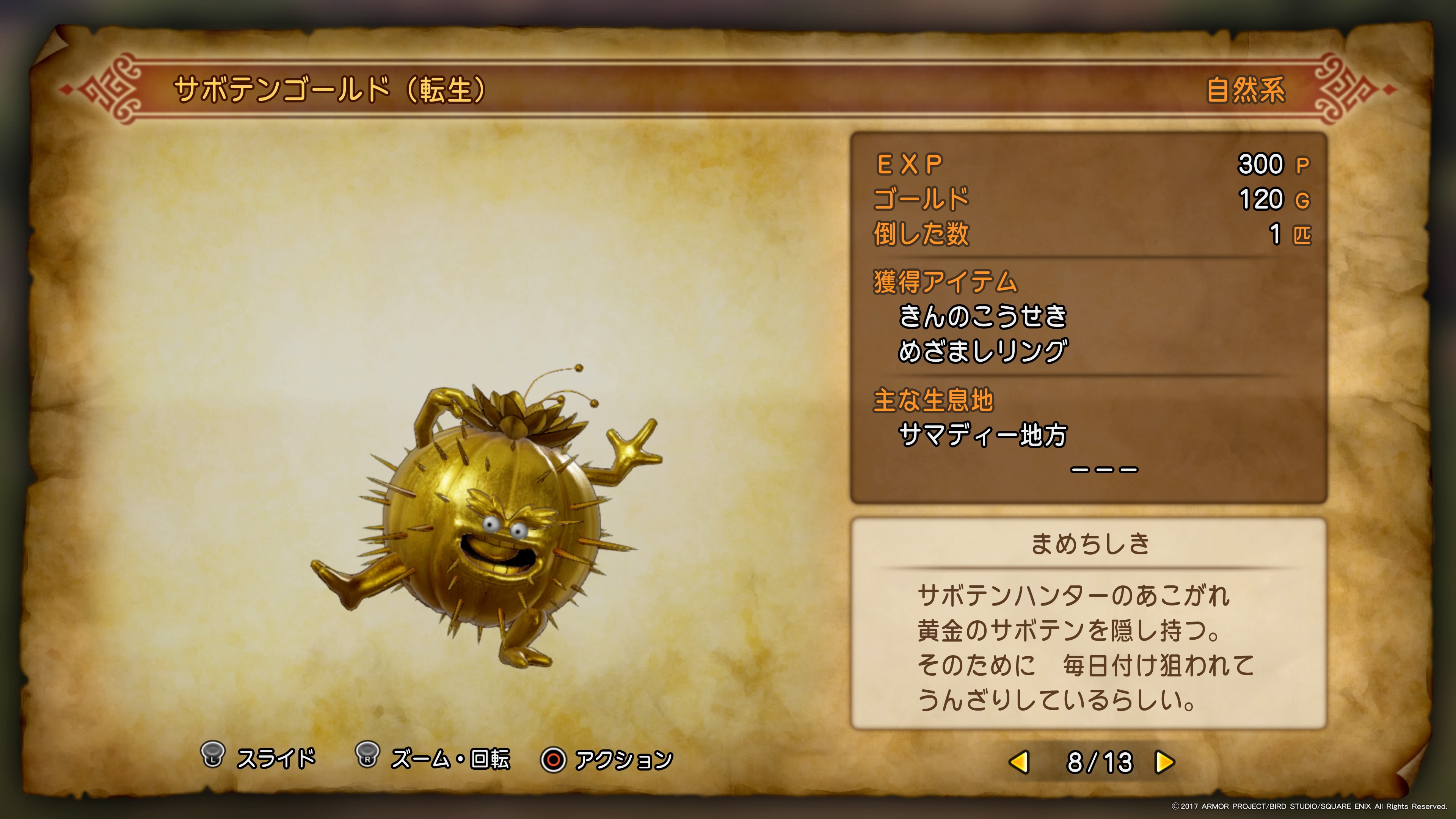 ゴールドクレストが枯れる原因と5つの対策内側が茶色くなるのを防いで緑を保つ育て方生活110番