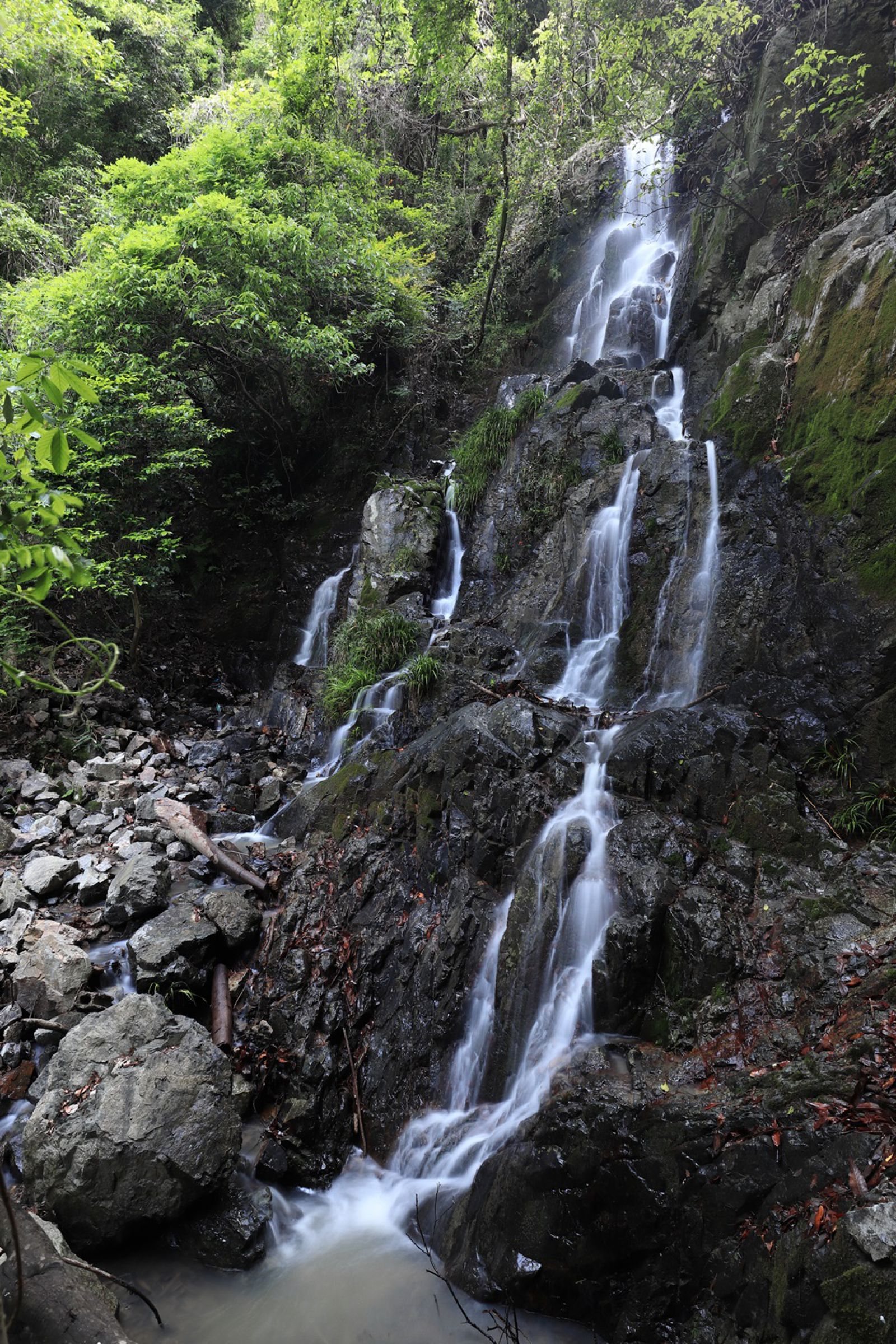 絶景キャンプ場で楽しむ夏のアウトドアアクティビティ🏕️